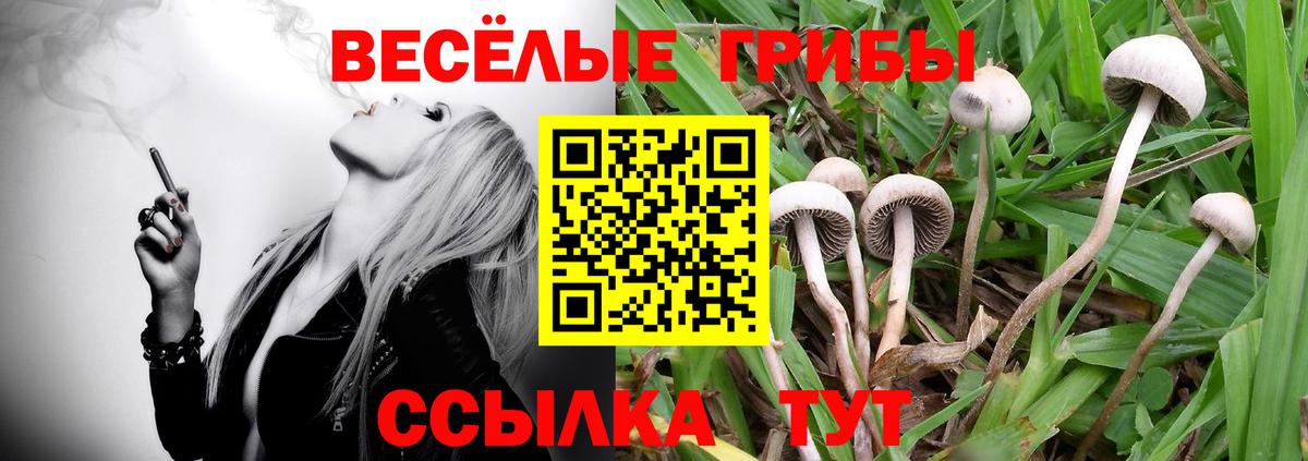 Псилоцибиновые грибы MAGIC MUSHROOMS Ставрополь